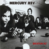 Chasing A Bee (Inside A Jar) - Mercury Rev