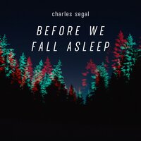 When We First Met - Charles Segal