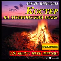 Гроза с громом и молнией: звуки природы - Amadeus