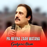 Pa Kashmalo De Galai Pre Oza - Gulzar Alam
