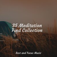 Ocean's Revival - Natureza Musica Bem-Estar Academia & Massage Tribe & Buddhist Meditation Music Set