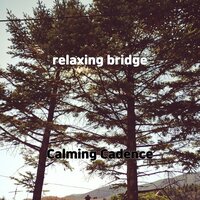 relaxing bridge - Calming Cadence