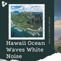 Beach Sounds for Sleep - Nature Sounds At Home