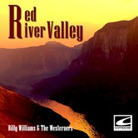 Streets of Laredo - Billy Williams