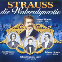 Die Vorgeiger - Wiener Kolonaden Orchester & Hans Hagen & Иоганн Штраус-отец