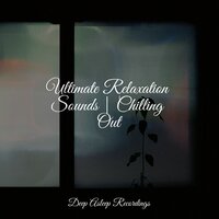 Soothing Waves - Sleep Baby Sleep & Meditacionessa