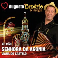 Hello o Canário Já Chegou - Augusto Canário & Amigos