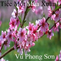 Vạn Thọ Ngày Xuân 2 - Vu Phong Son
