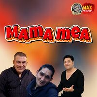La fantana cu noroc - Viorel din Aparatori