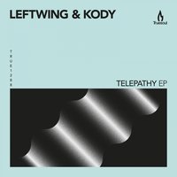 Labyrinth - Leftwing : Kody