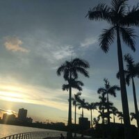 我这个总受伤的男人 - 老黎 & 大刀