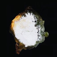 Acid Run - Robert S (PT)