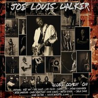 Awake Me Shake Me - Joe Louis Walker & Carla Cooke