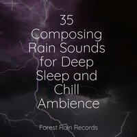 LoFi Rain on Window - Dr. Meditation & Música Zen Relaxante & Rain