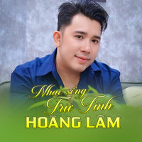 Liên Khúc Nhạc Sống Trữ Tình Chọn Lọc Rumba / Bông Mua Tím - Hoàng Lâm