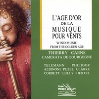 Concerto a cinque en ré majeur: Plaisanterie - David Walter & Thierry Caens & Patrick Vilaire & La Camérata de Bougogne, Thierry Caens, David Walter, Dominique Monnin, Patrick Vilaire, René Bouley & René Bouley & La Camérata de Bougogne