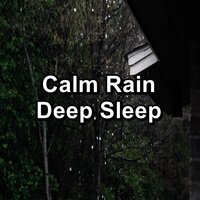 Rain Showers 750 Hz - Rain Sounds & Thunderstorms & Rainy Mood