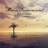 Relaxar, Descansar e Dormir Nauralmente - Meditação Música Ambiente