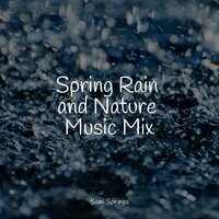 Sidewalk Rain - Rainforest & Rain & Massage