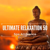Daily Meditations - Reiki Warmth