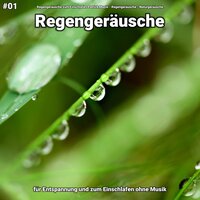 Regengeräusche, pt. 59 - Regengeräusche zum Einschlafen Patrick Mazio & Regengeräusche & Naturgeräusche