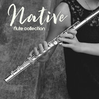 Sleep Deeply - Native American Music Consort