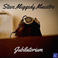 I'm Awake Now - Steve Miggedy Maestro
