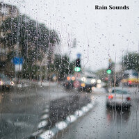 Rainy Days, Rain Sounds for Relaxing and Sleeping, Pt. 8 - Weather and Nature Recordings & The Outdoor Library & Rain Sounds & Nature Sounds