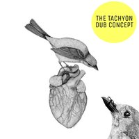 Das stadtmusikanten - The Tachyon