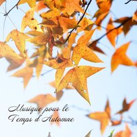 Flûte Ney - Pensèe Positive Acadèmie