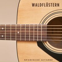 Klangvolle Zukunftsvisionen - Spanische Gitarre