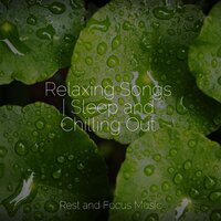 Quiet Wind Whispers - Life Sounds Nature & Deep Sleep & Spa Zen