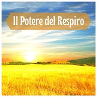 Armonia universale - Suoni per Dormire