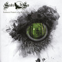 Cathedral Walls - Swallow The Sun & Anette Olzon