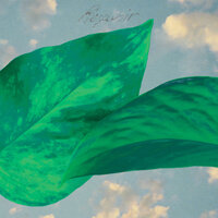 Taking Flight - Resavoir & Brandee Younger