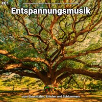 Entspannungsmusik pt. 55 - Entspannungsmusik Malena Stickler & Schlafmusik & Entspannungsmusik