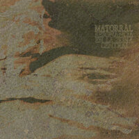 Todo - Matorral