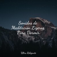 Serenidad Divina - Academia de Música con Sonidos de la Naturaleza & Música Relajante para Bebés & Sonido Del Bosque y Naturaleza