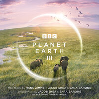 Treehopper - Hans Zimmer & Jacob Shea & Sara Barone