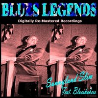 My Baby, My Baby - Sunnyland Slim