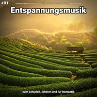 Chillout - Entspannungsmusik Meditationsmusik Einschlafmusik & Schlafmusik & Entspannungsmusik