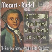 Così Fan Tutte, Il Core Vi Dono - The Amadeus Ensemble