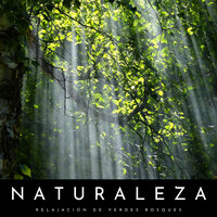 Calmos Susurros - Calma & Sonido Del Bosque y Naturaleza & Pájaros del Bosque
