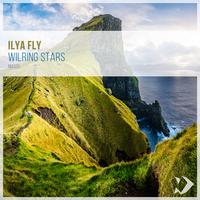 Wilring Stars - Ilya Fly
