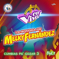 Ojitos Mentirosos - La Sonora de Melky Fernández