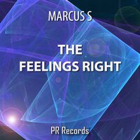 The Feelings Right - Marcus S & Emil Wirello