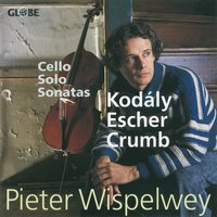 Sonata for Solo Violoncello: II. Andante - Pieter Wispelwey