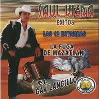 La Clave Siete - Saul Viera El Gavilancillo