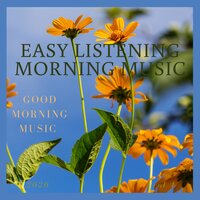 Wash My Car - Easy Listening Morning Music