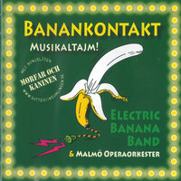 Majaelegi - Electric Banana Band & Malmö Operaorkester